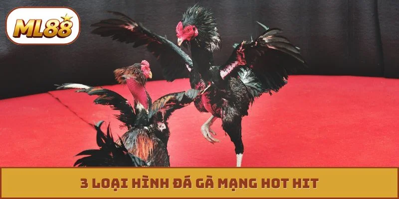 3 loại hình đá gà mạng hot hit