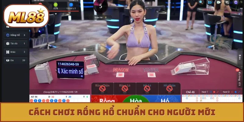 Cách chơi rồng hổ chuẩn cho người mới