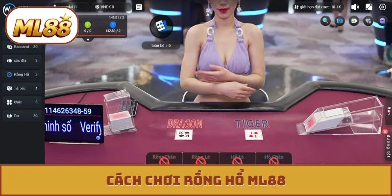 Cách Chơi Rồng Hổ - 4 Chiến Thuật Độc Lạ Rinh Quà Khủng Cách chơi rồng hổ ml88