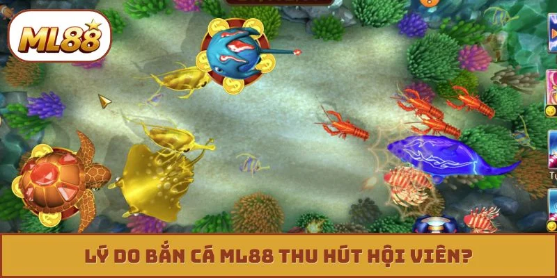 Bắn cá ML88 Lý do bắn cá ML88 thu hút hội viên?